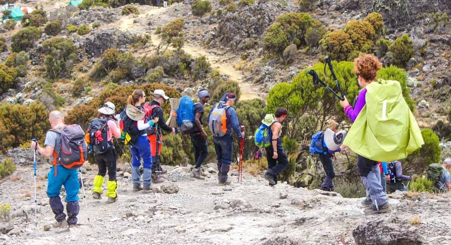 6-Days-Kilimanjaro-Climbing-Via-Umbe-Route-900x490