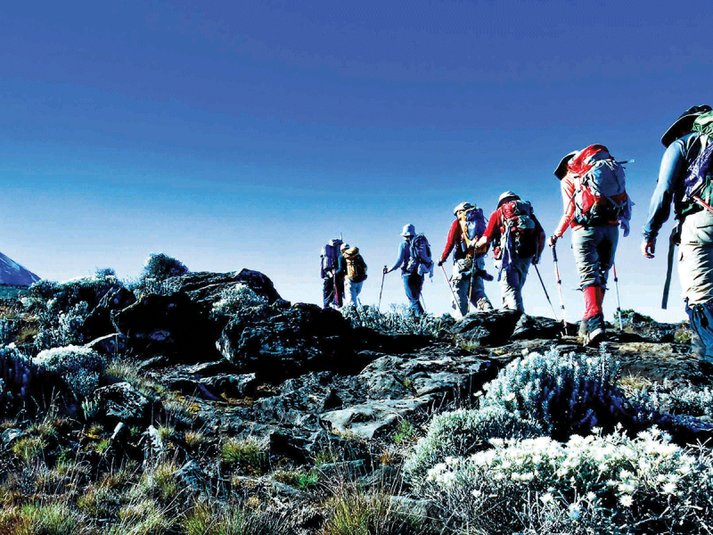 9-Days-Climbing-Mount-Kilimanjaro-Northern-Circuit-800x600